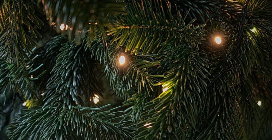 Árboles de Navidad